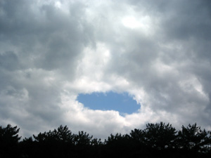 082271.jpg