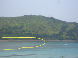 084083.jpg