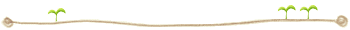 line6.gif